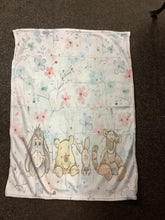 Load image into Gallery viewer, Peter rabbit pram blanket